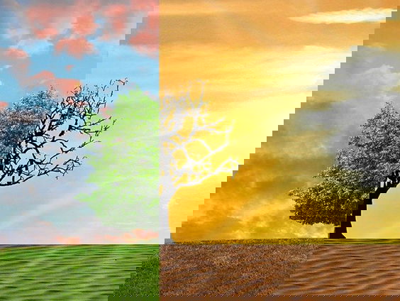 Advocaat van de Aarde