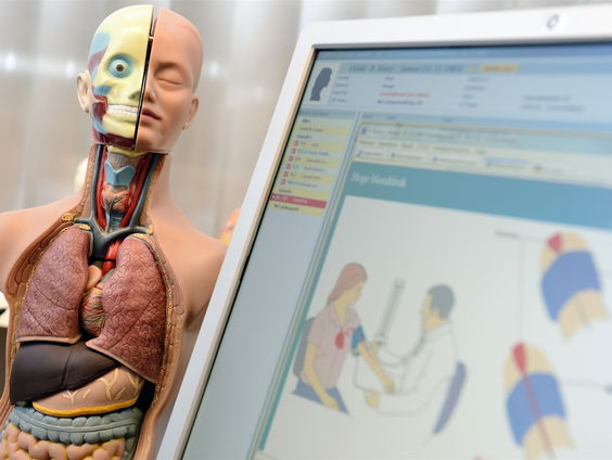 Darmen: Het tweede brein van de mens