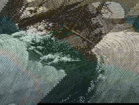 De Zanzibardriehoek - Een slavernijgeschiedenis 1860-1900