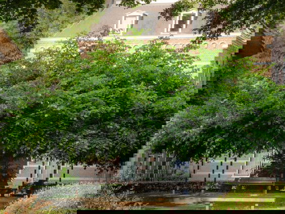 Marialinde uit Oisterwijk