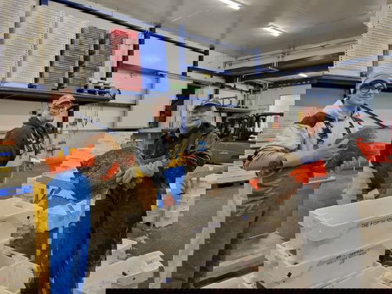 's Nachts werken op de Visafslag: "Zwaar werk, went met de jaren!"