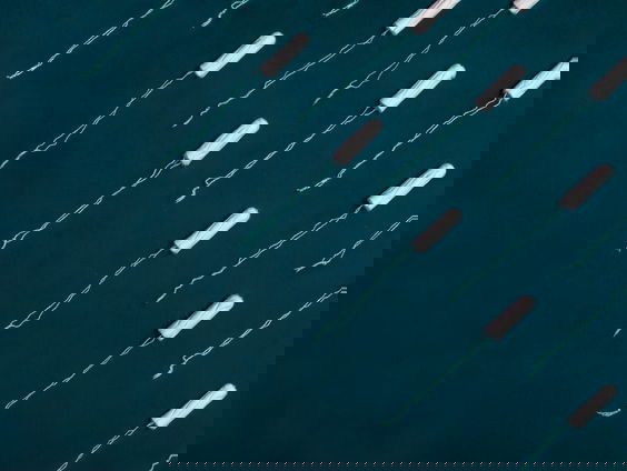 De geschiedenis van onze menstruatiecultuur - met dr. Willemijn Ruberg