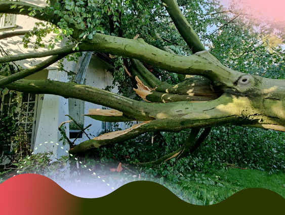 Heftig natuurgeweld heeft impact op de rest van je leven, maar psychische hulp is niet vanzelfsprekend