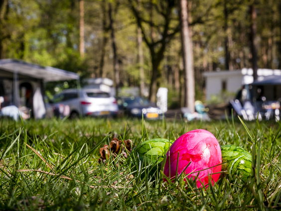 Is het tijd voor nieuwe feestdagen?