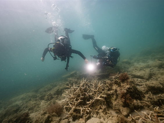 Deze recovery-duikers vissen je verloren telefoon voor je uit het water