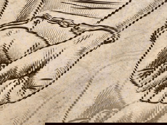 Assad woont ook in Nederland: de getuigenissenbank