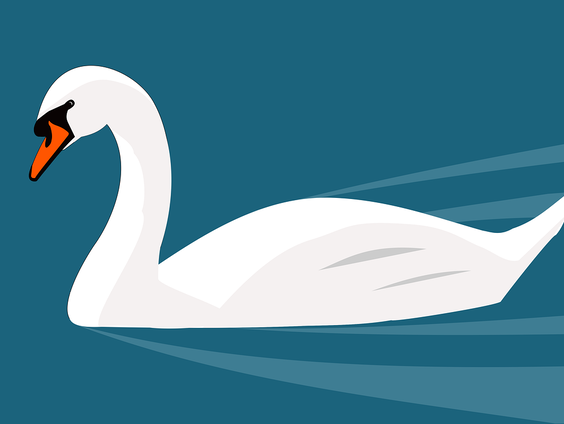 Kunnen de poten van vogels bevriezen?