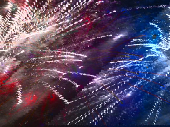 Vuurwerk nog schadelijker voor dieren dan gedacht