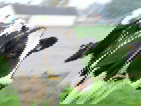 1,3 miljard voor natuurherstelplannen landbouw