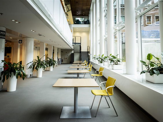 Grootste experiment ooit met vierdaagse werkweek blijkt succes