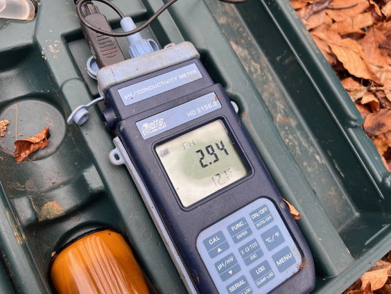 Verzuring in bossen erger dan gedacht