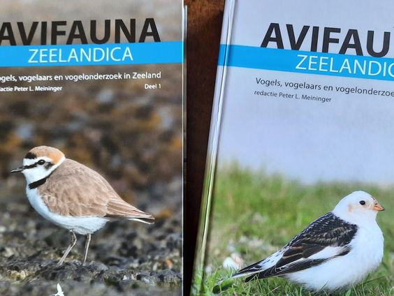 Alles wat je wil weten over Zeeuwse vogels: de Avifauna Zeelandica