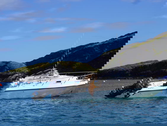 Wally de wereldberoemde walrus