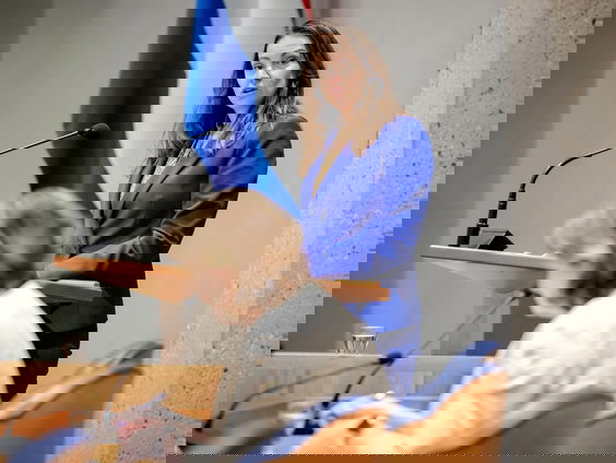 Vraag aan Den Haag: Wat doet een vicefractievoorzitter?