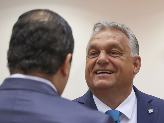 Conservatieve, Hongaarse jongeren op zomerkamp: 'Orbán als dappere leider'