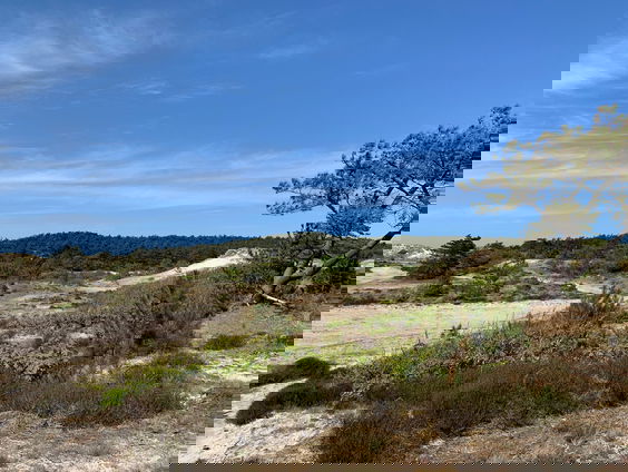 PFAS ook in de duinen gevonden