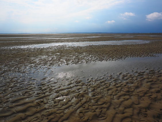 Hoe staat het met de Waddenzee?