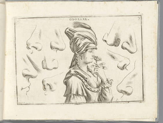 2e uur: historische boeken met Wim Berkelaar, Het Spoor Terug: De geur van geschiedenis OVT 05-02-2023