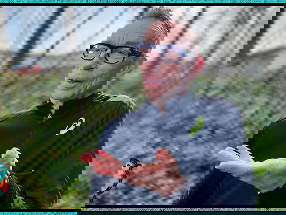 Column Dolf Jansen: De bal en de hond