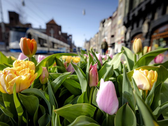 Toerisme in Nederland herstelt