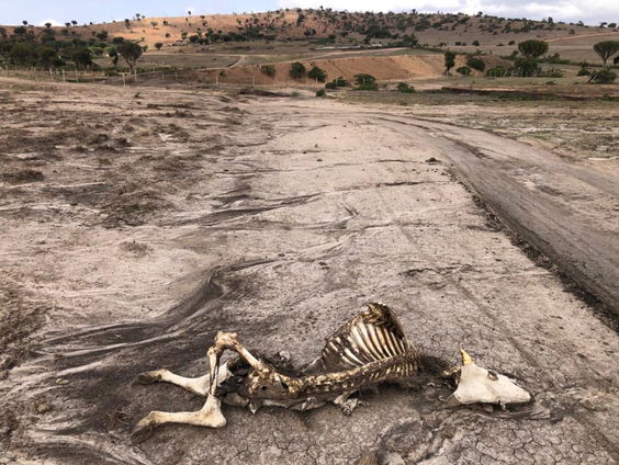 Frontlinie: gevolgen klimaatverandering Kenia