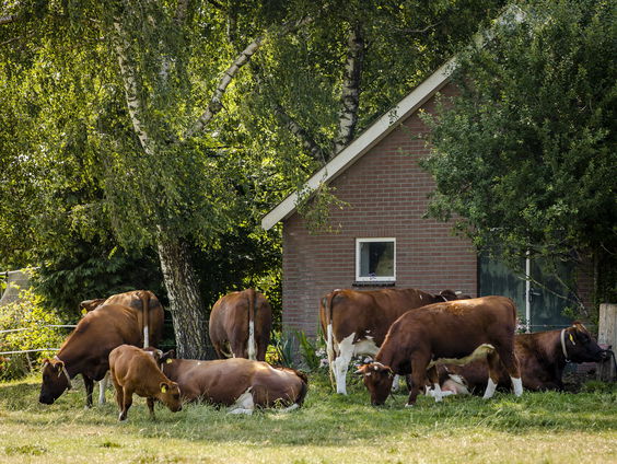 Is stikstof nog steeds een belangrijk thema?