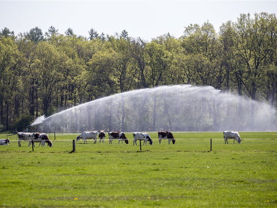 Stand.nl: We onderschatten het droogteprobleem in Nederland