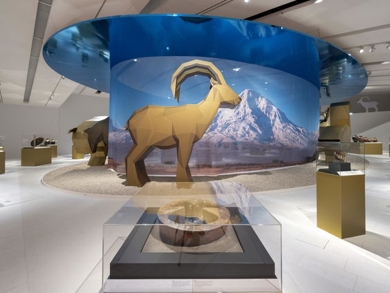 Drents Museum wint prijs voor beste tentoonstelling