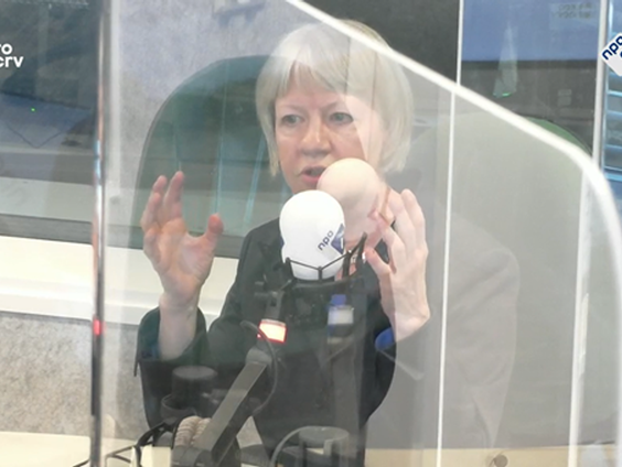 Nicolien van der Sijs