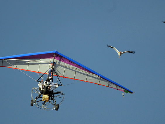 2500 kilometer zweefvliegen of motorgliden tijdens Euroglide