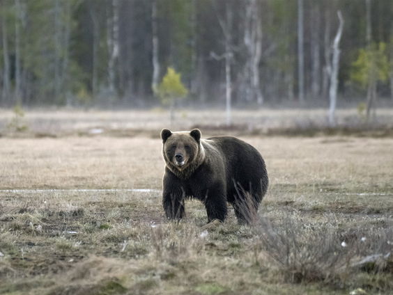 Buitenland Uitgelicht: Slowakije met Laura Postma