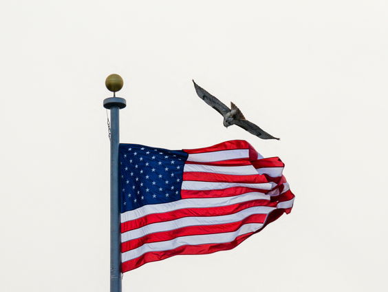 Hoe wordt kwetsbaarheid van Amerikaanse democratie uitgebuit?