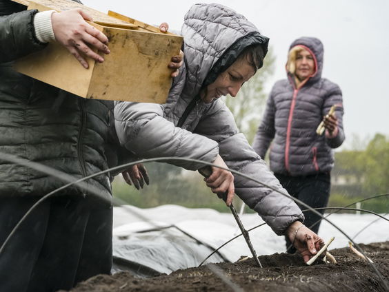 Polen heeft Oekraïense vluchtelingen hard nodig vanwege arbeidstekort