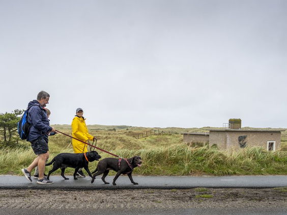 Wat doet alle regenval van de afgelopen week met de natuur?