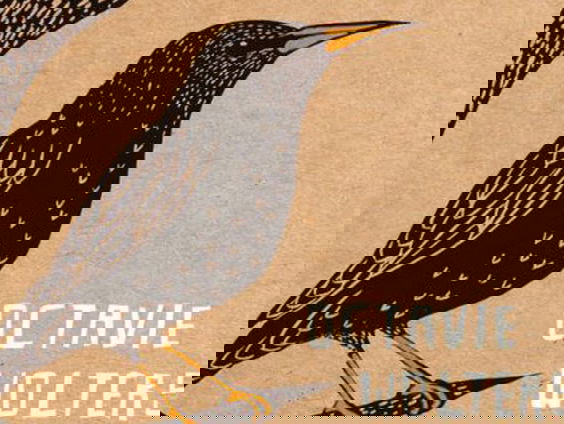 Het lied van de spreeuw | Nominatie Jan Wolkers Prijs