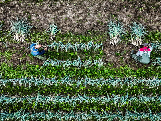 Supermarkt Rechtstreex verkoopt producten van boeren uit de buurt