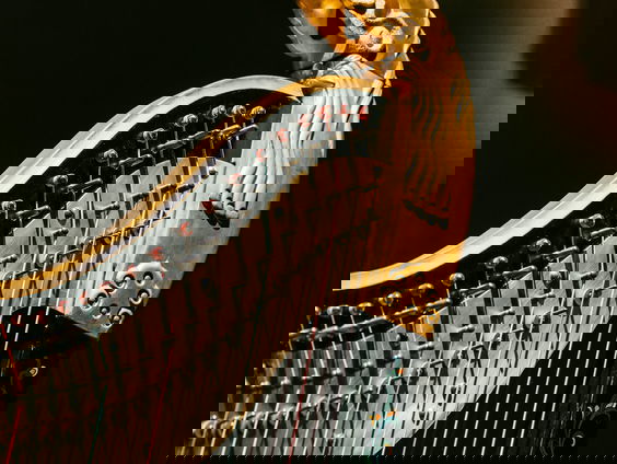 Lavina Meijer maakte de muzikale voorstelling Immortal Trees