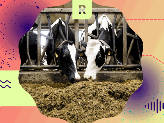 Pointer pop-up: Merendeel piekbelasters in Gelderse Vallei