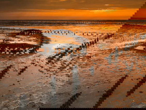 Gaswinning tast wadbodem aan