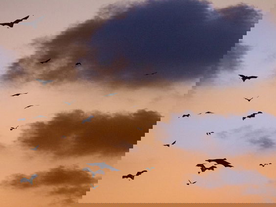 Er was eens... Dracula