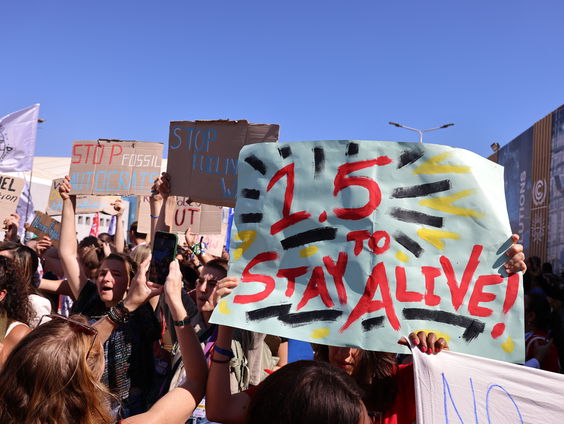 De wensen en doelen van Afrikaanse landen op de klimaattop