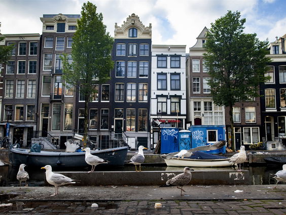 'Je hoeft niet ver te reizen voor gave dieren'