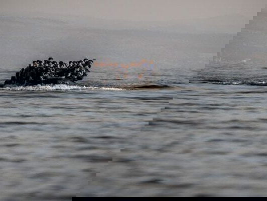 Kees Boonman over de politiek en immigratieproblematiek