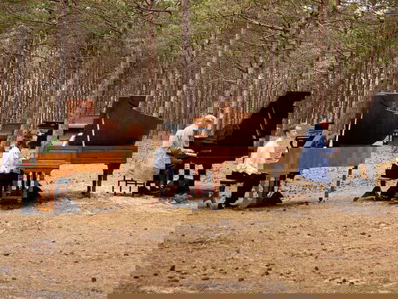 Pianostemmen: muziektheater over geroofd bezit