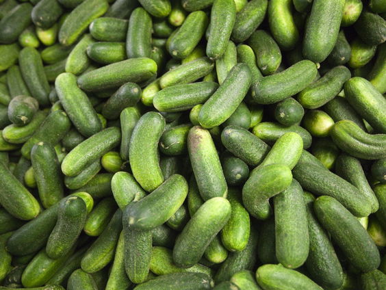 De geschiedenis van de ‘tafelzuurhoofdstad’