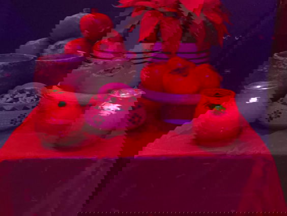 Shabe Yalda vieren in Nederland