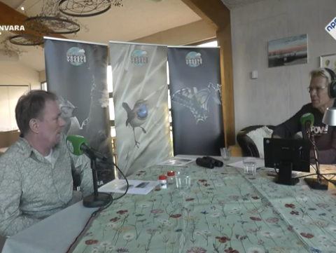 Diepste pingo-ruïne ter wereld