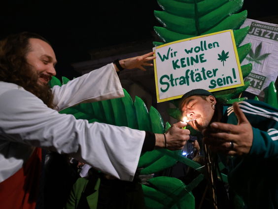 Duitsers mogen vanaf vandaag legaal cannabis telen en roken