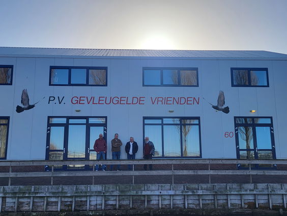 Duivenmelkers in het Westland: een jarenlange traditie