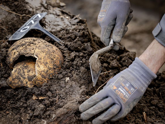 Het onderzoek naar de schedel van kartuizer monnik Dionysius